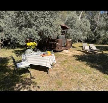 Hotel Roulotte / Tiny House Dans Les Alpilles Saint-Rémy-de-Provence Exteriér fotografie